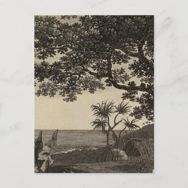 Cartão Postal Vanuatu 3 (Frente)