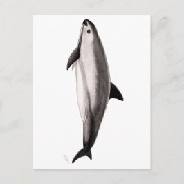 Cartão Postal Vaquita