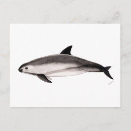 Cartão Postal Vaquita