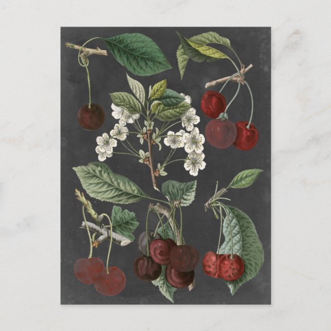 Cartão Postal Variedades de Pomar I (Frente)