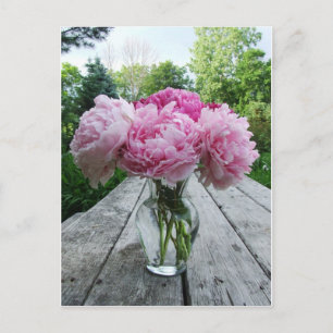 Cartão Postal Vase of Pink Peonies
