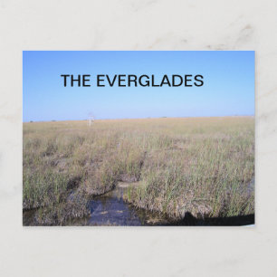 CARTÃO POSTAL VASTIDÃO DOS EVERGLADES