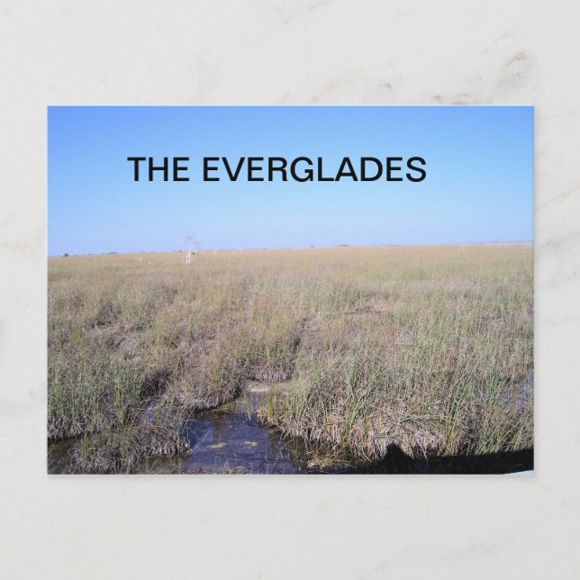 CARTÃO POSTAL VASTIDÃO DOS EVERGLADES (Frente)