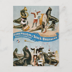 Cartão Postal Vaudeville, espetáculos do Circus