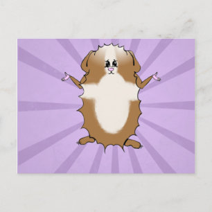 Cartão Postal Vazio de Imagens de Suínos Abyssini Guiné Pig