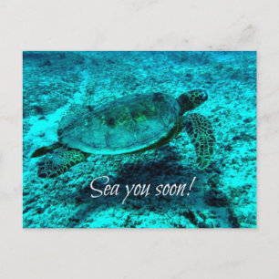 Cartão Postal Vê-te em breve! Placa Posta Turtle
