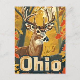 Cartão Postal Veado branco de Ohio