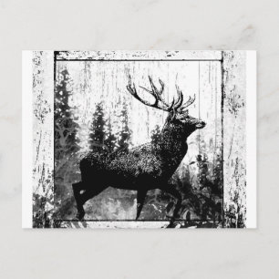 Cartão Postal Veado Cervo Vintage Animal Preto Branco