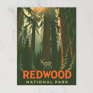 Cartão Postal Veado da Floresta Redwood