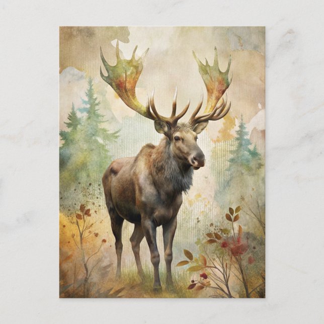 Cartão Postal Veado em uma Floresta (Frente)