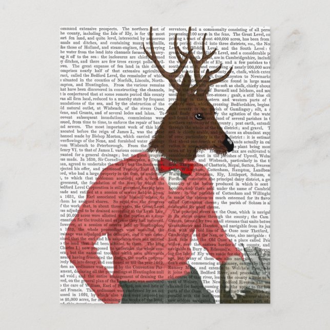 Cartão Postal Veado No Bar (Frente)