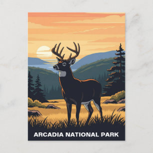 Cartão Postal Veado no Parque Nacional de Arcadia