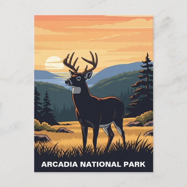 Cartão Postal Veado no Parque Nacional de Arcadia (Frente)