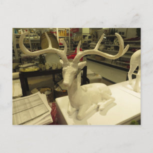 Cartão Postal Vedante Decorativo