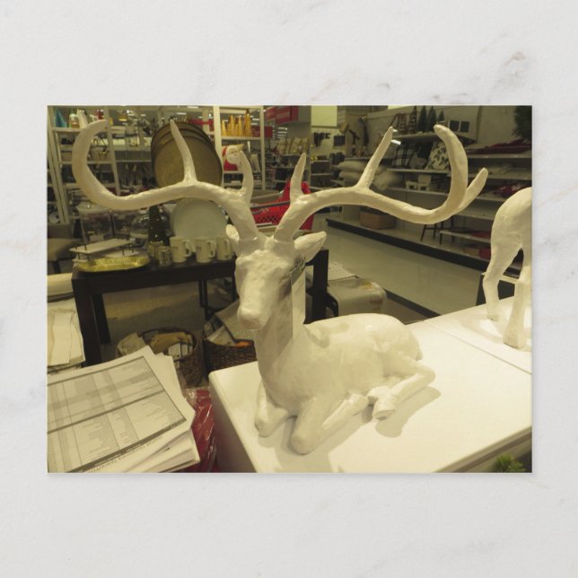 Cartão Postal Vedante Decorativo (Frente)