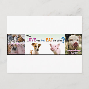 Cartão Postal Vegan Gear Qual é a diferença?