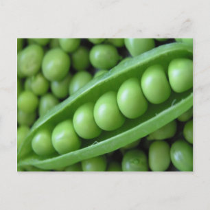 CARTÃO POSTAL VEGETAIS