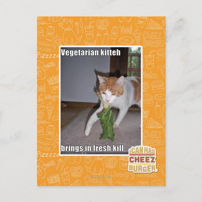 Cartão Postal Vegetarian Kitteh (Frente)