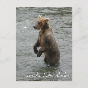 Cartão Postal Vejo você pescando, Brooks Falls Alaska