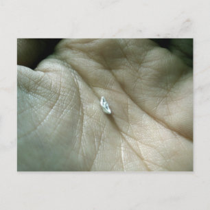 Cartão Postal Velejando ao longo da linha de vida