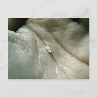 Cartão Postal Velejando ao longo da linha de vida