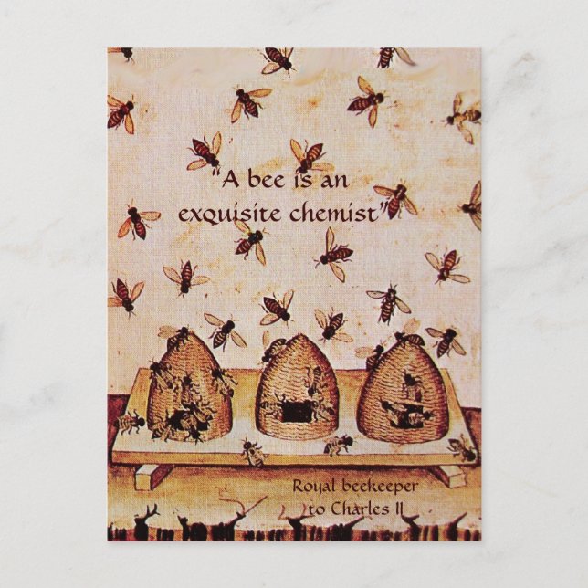 CARTÃO POSTAL VELHA DE MEL ANTÍQUICO, APOSTA (Frente)