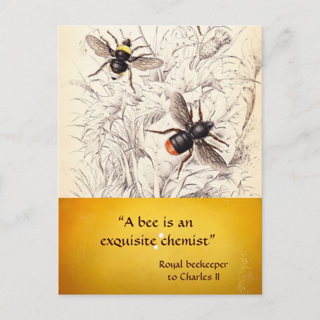 CARTÃO POSTAL VELHA DE MEL ANTÍQUICO, APOSTA (Frente)