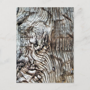 CARTÃO POSTAL VELHA INGLATERRA