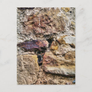 CARTÃO POSTAL VELHA INGLATERRA