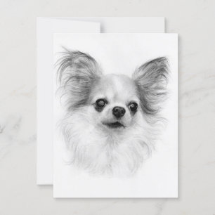 Cartão Postal Velhice - Arte Chihuahua Pintada à Mão