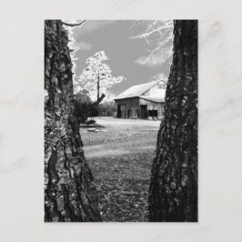 Cartão Postal Velho Barn Rural Barns Country Black & White Photo