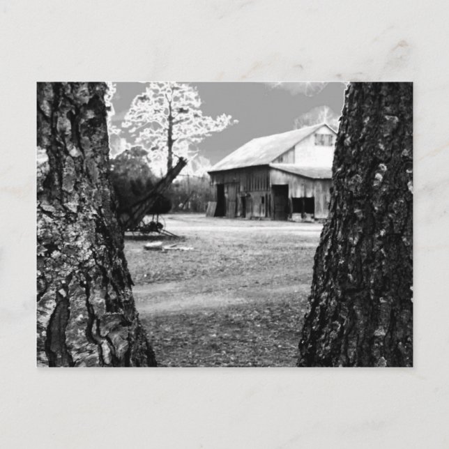 Cartão Postal Velho Barn Rural Barns Country Black & White Photo (Frente)