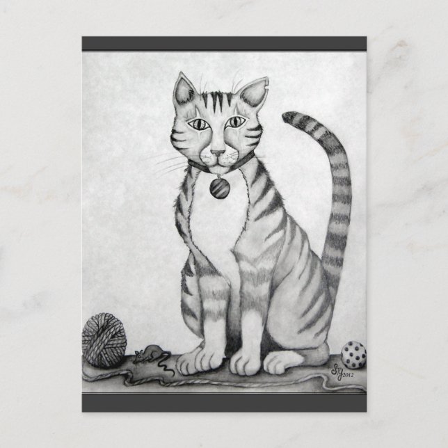 Cartão Postal Velho Gato Tigre Tom (Frente)