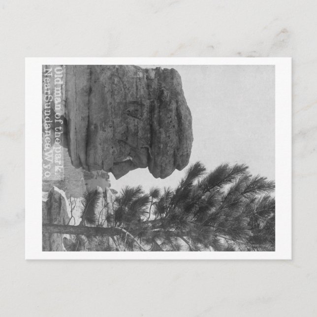 Cartão Postal "Velho Homem" do Parque Perto da Fotografia da Sun (Frente)