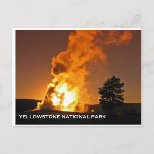 Cartão Postal Velho Sunset Fiel