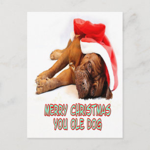 Cartão Postal Velhos cães de Natal Saudações