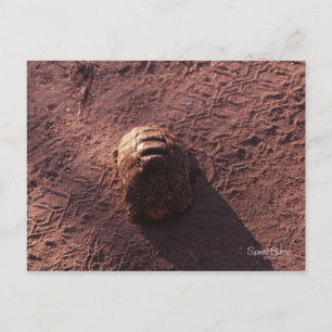 Cartão Postal Velocidade