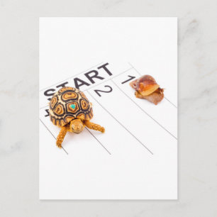 Cartão Postal Velocidade