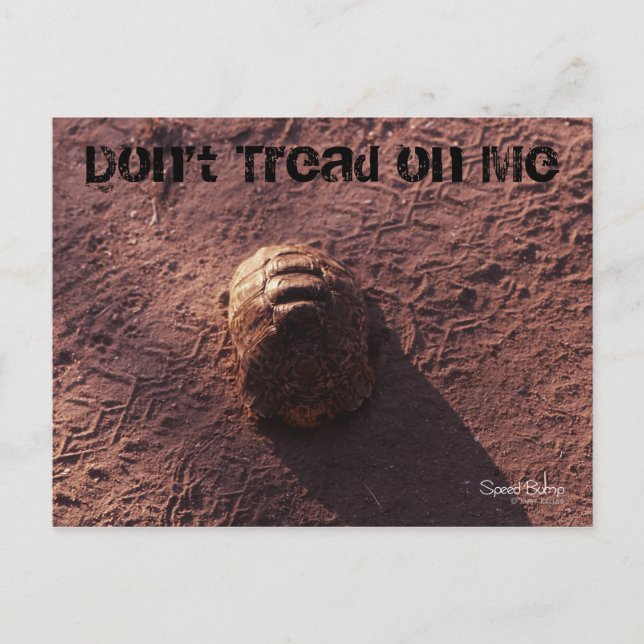 Cartão Postal Velocidade (Frente)