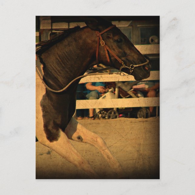 Cartão Postal Velocidade do cheio à frente (Frente)