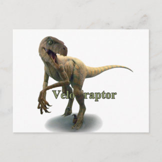 Cartão Postal Velociraptor