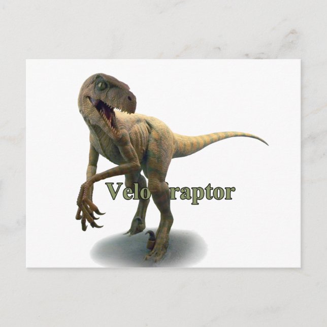 Cartão Postal Velociraptor (Frente)