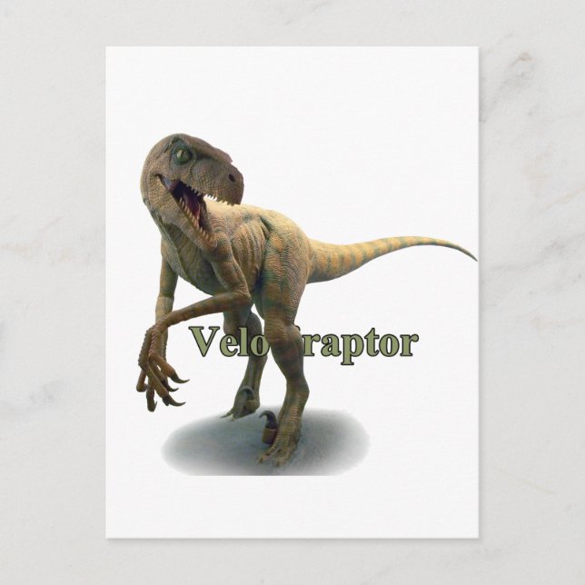 Cartão Postal Velociraptor (Frente)