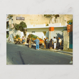 Cartão Postal Vendedor de legumes, Salerno