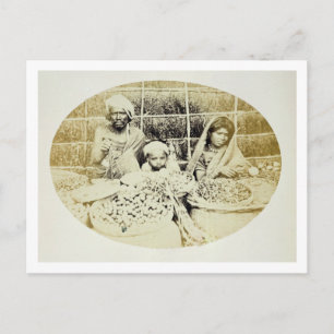 Cartão Postal Vendedores hindus de legumes e frutas em Madras, s