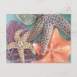 CARTÃO POSTAL VENDO ESTRELAS