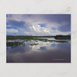 Cartão Postal Venezuela, Delta Amacuro, Orinoco Delta