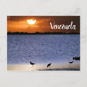 Cartão Postal Venezuela Sunset