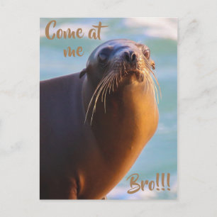 Cartão Postal Venha para mim, mano!