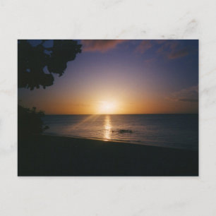 Cartão Postal Venice Beach Sunset